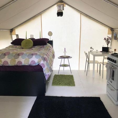 Vines And Puppies Glamping Hideaway Hotell Jade City Eksteriør bilde