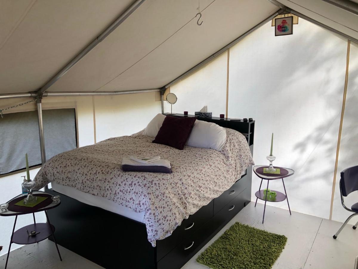 Vines And Puppies Glamping Hideaway Hotell Jade City Eksteriør bilde